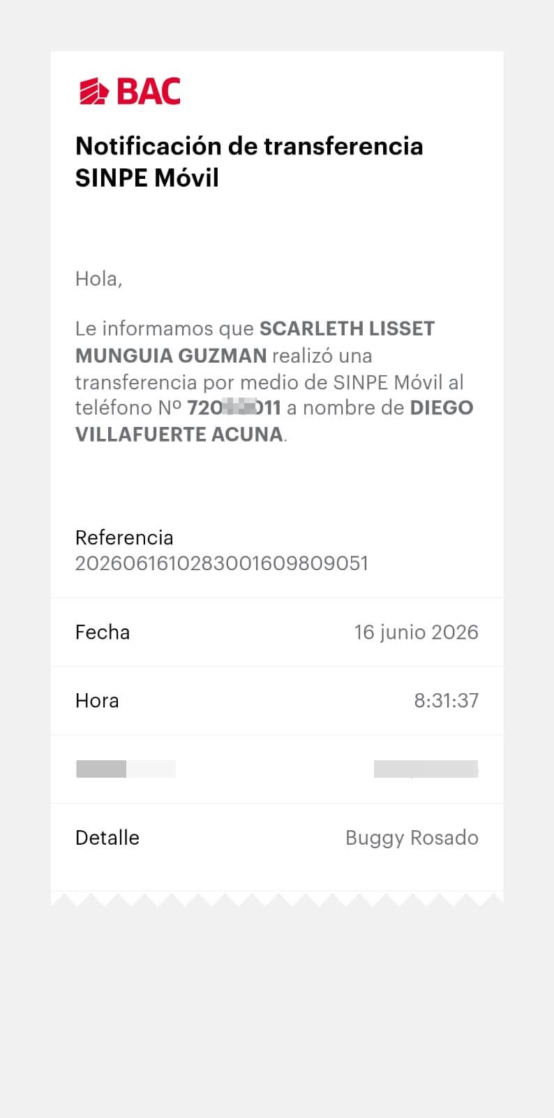 Buggy scam