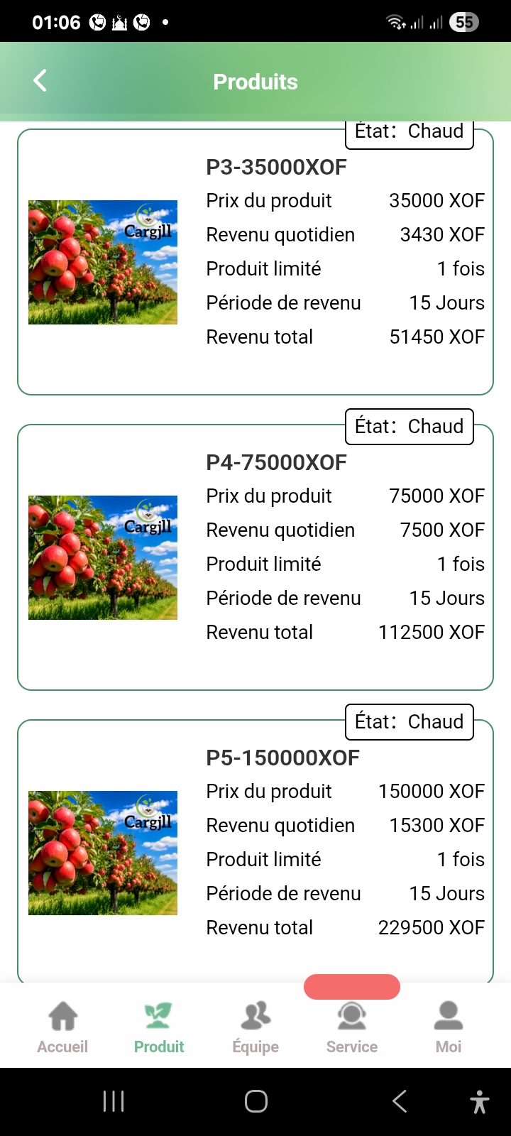 Scam, online agri-food company - image 3