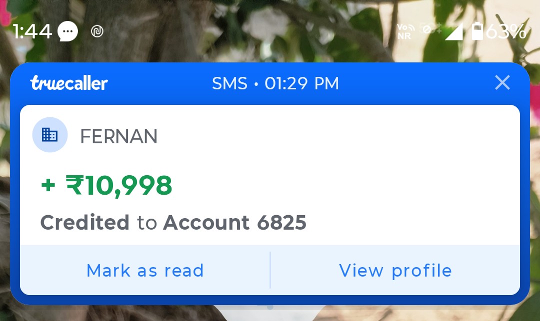 Fake transaction SMS 