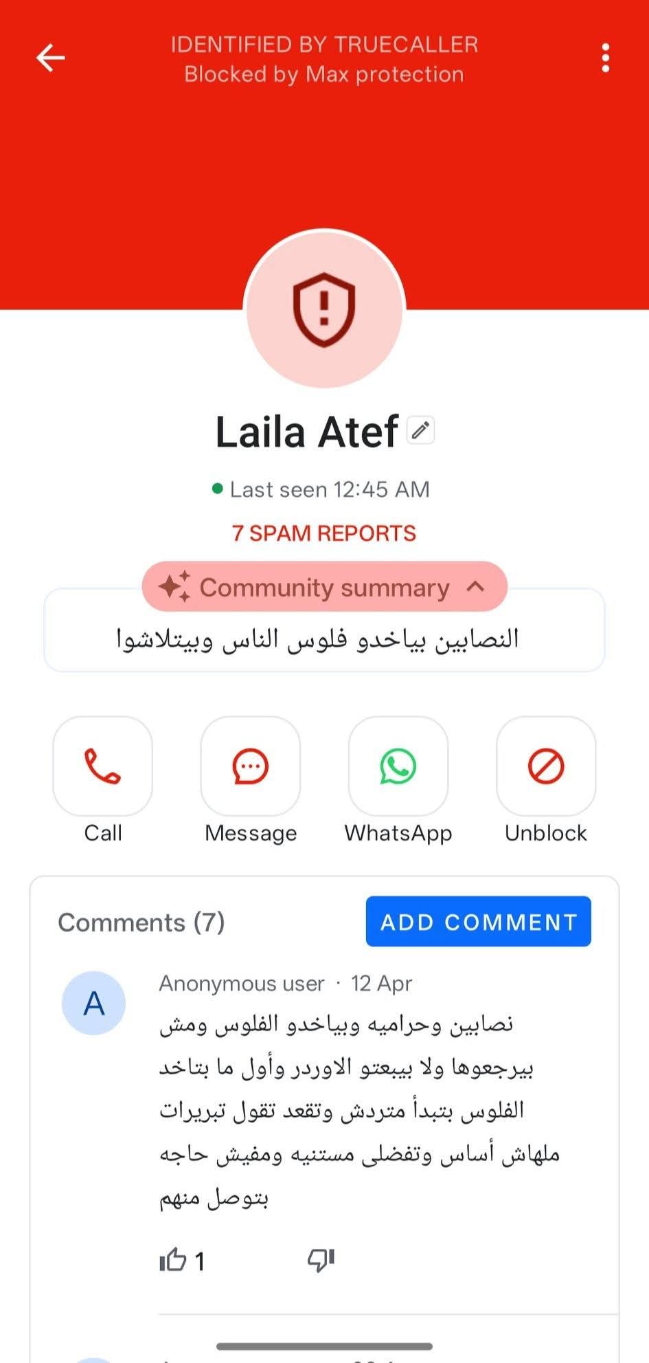 Laila Atef - image 2