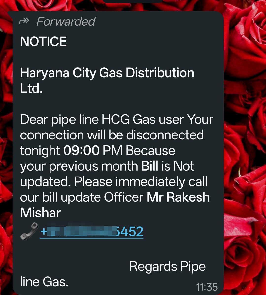 Scan on HCG Gas 