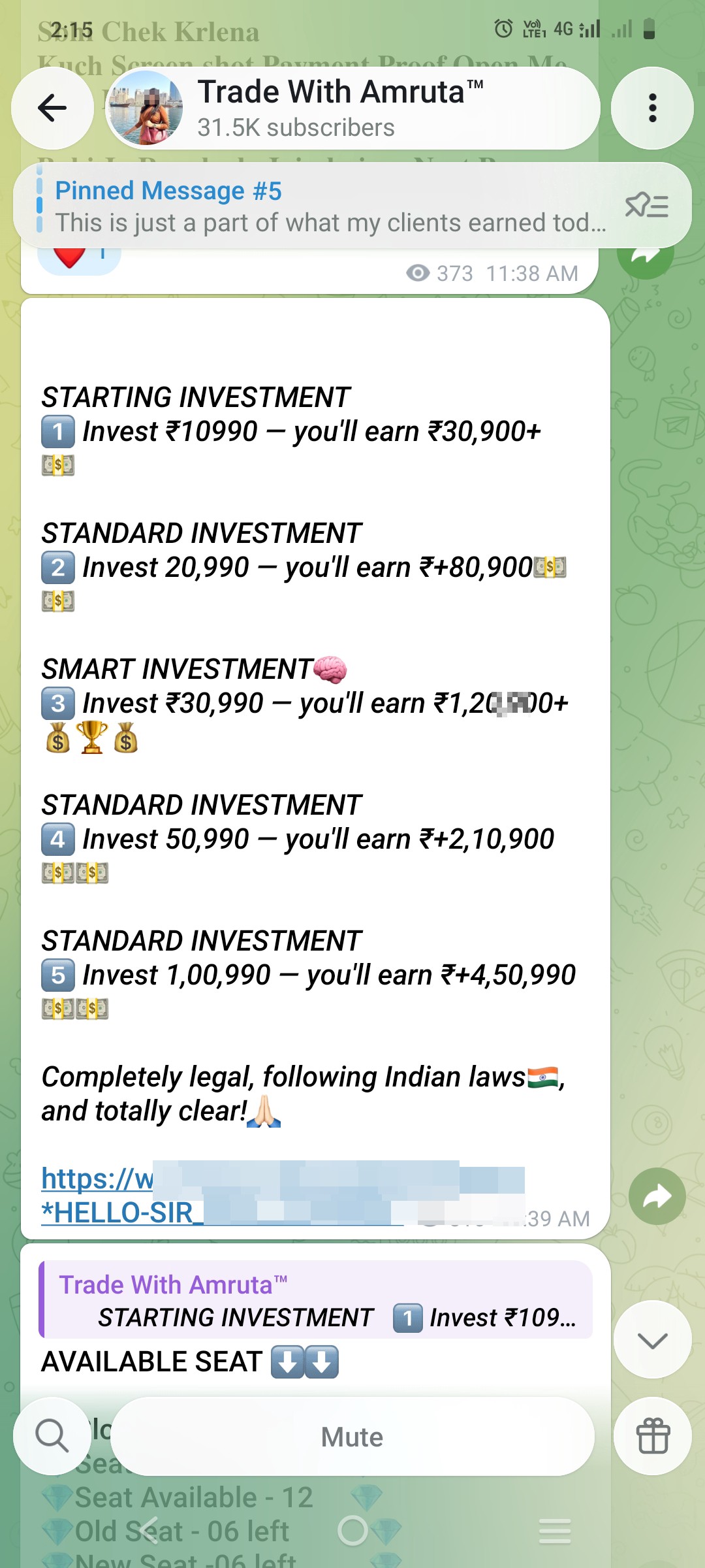 Telegram channel Fake investment scheme