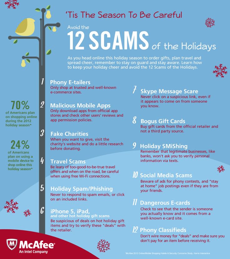Stay Safe from the 12 Scams of the Holiday Season!