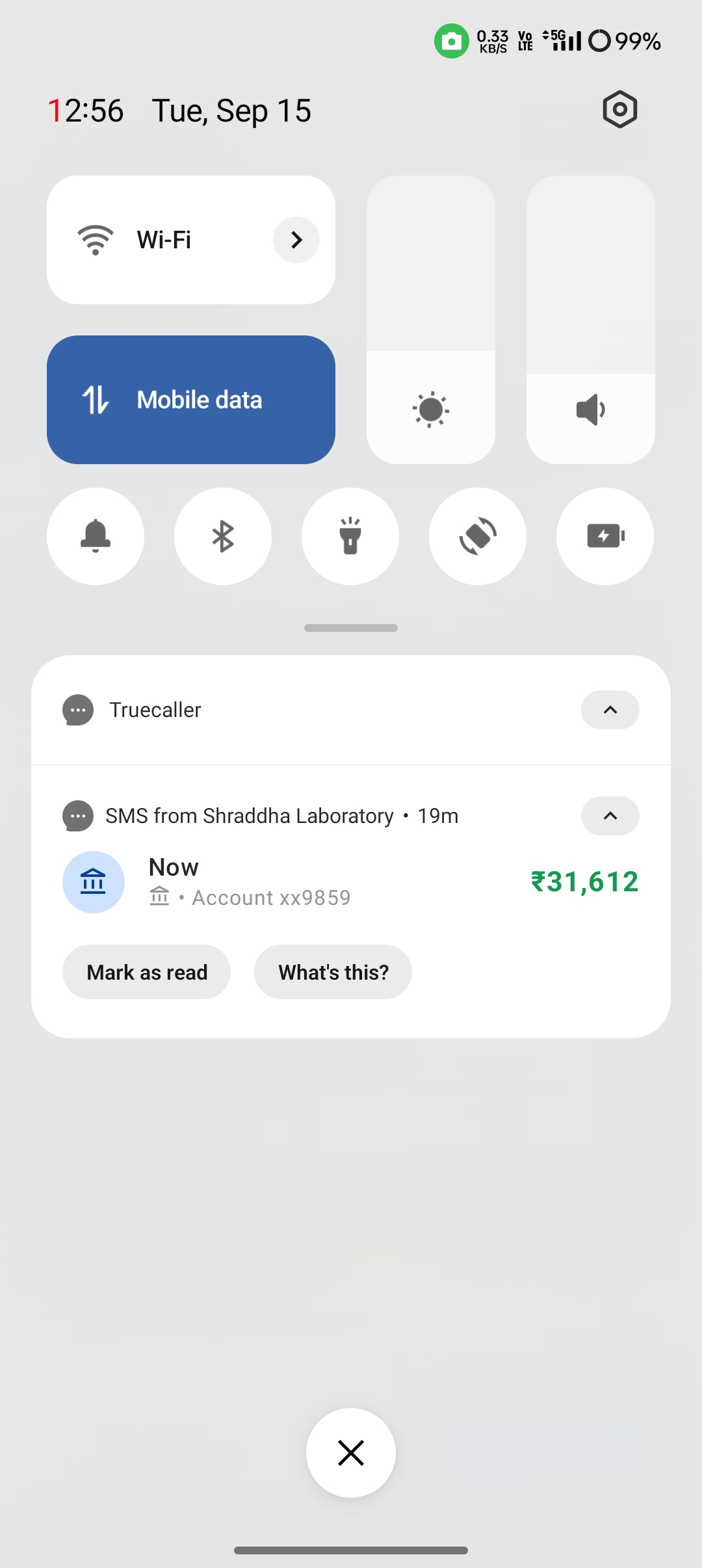 Scammer 
