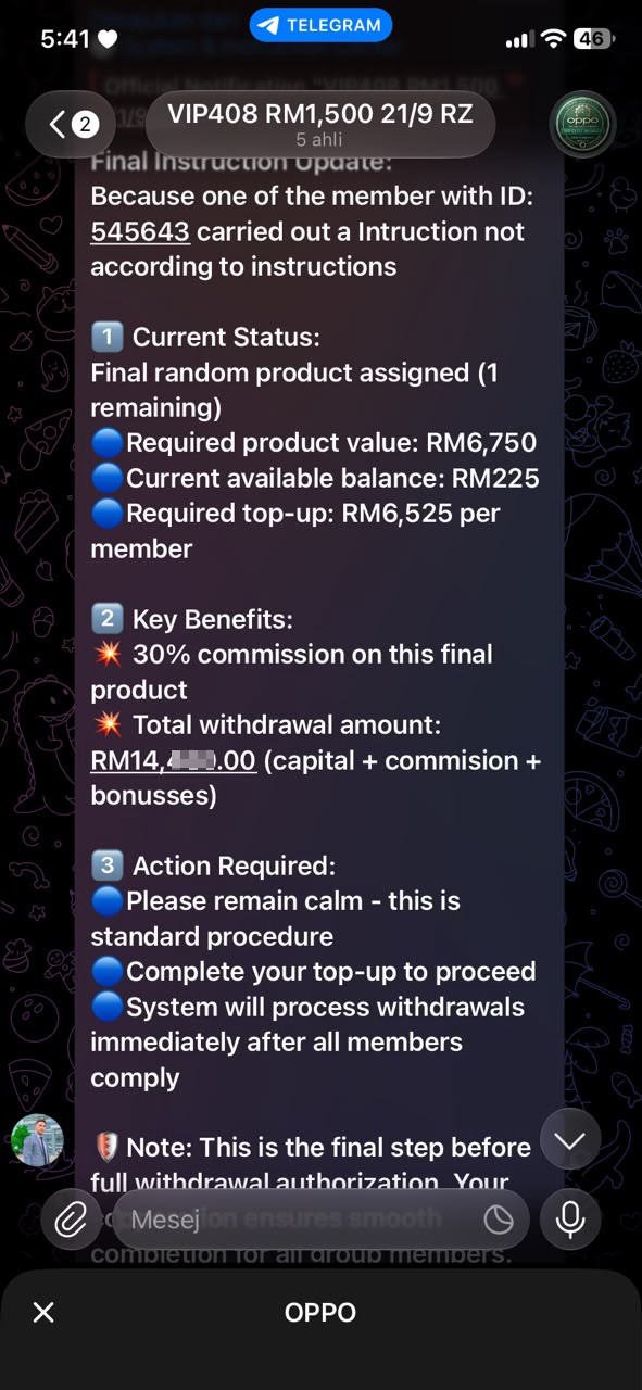 job scam - image 4