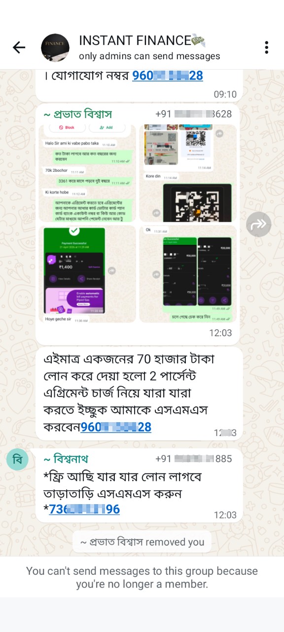 lone scam - image 2