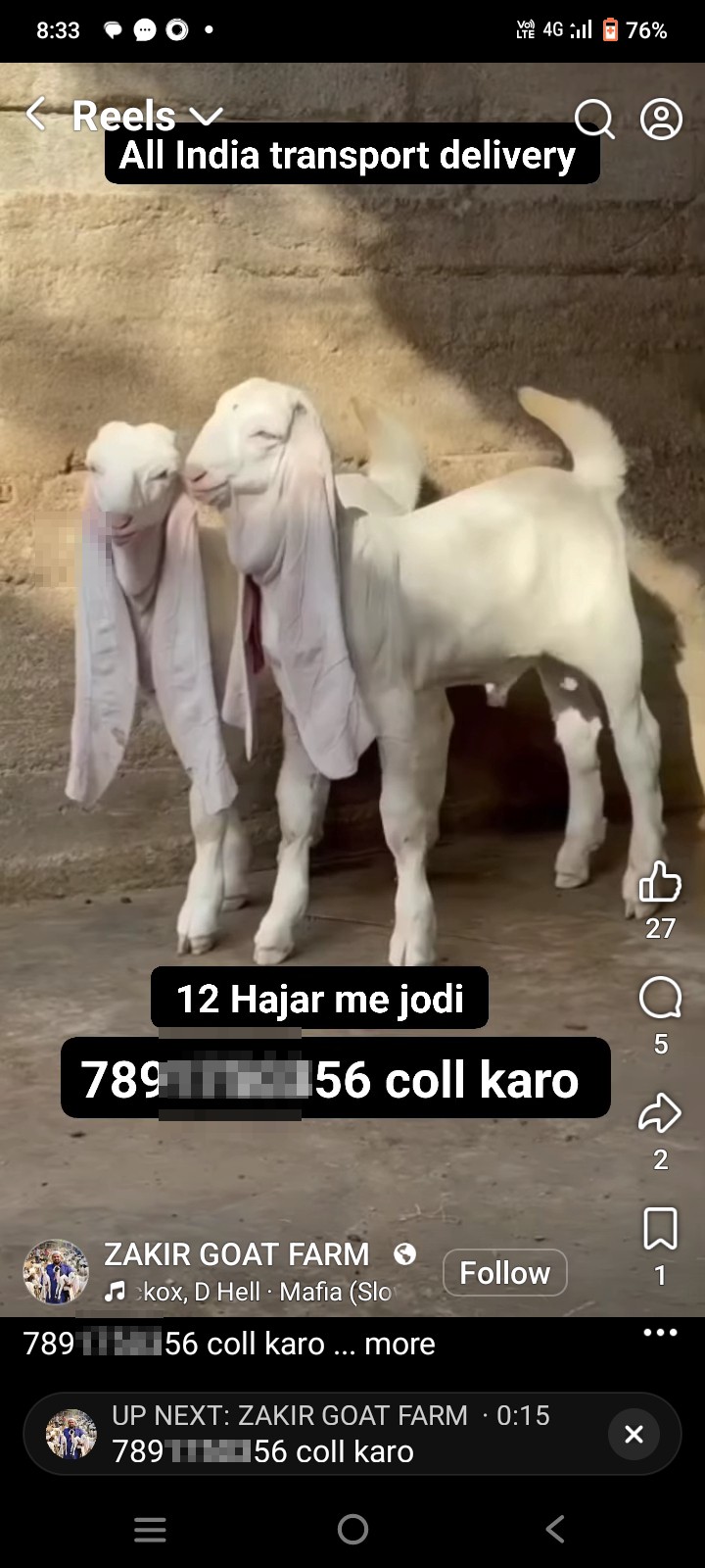 online goat purchase  - image 2
