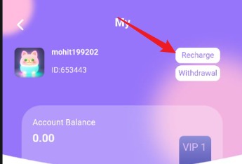 go2bizvip.  - image 2