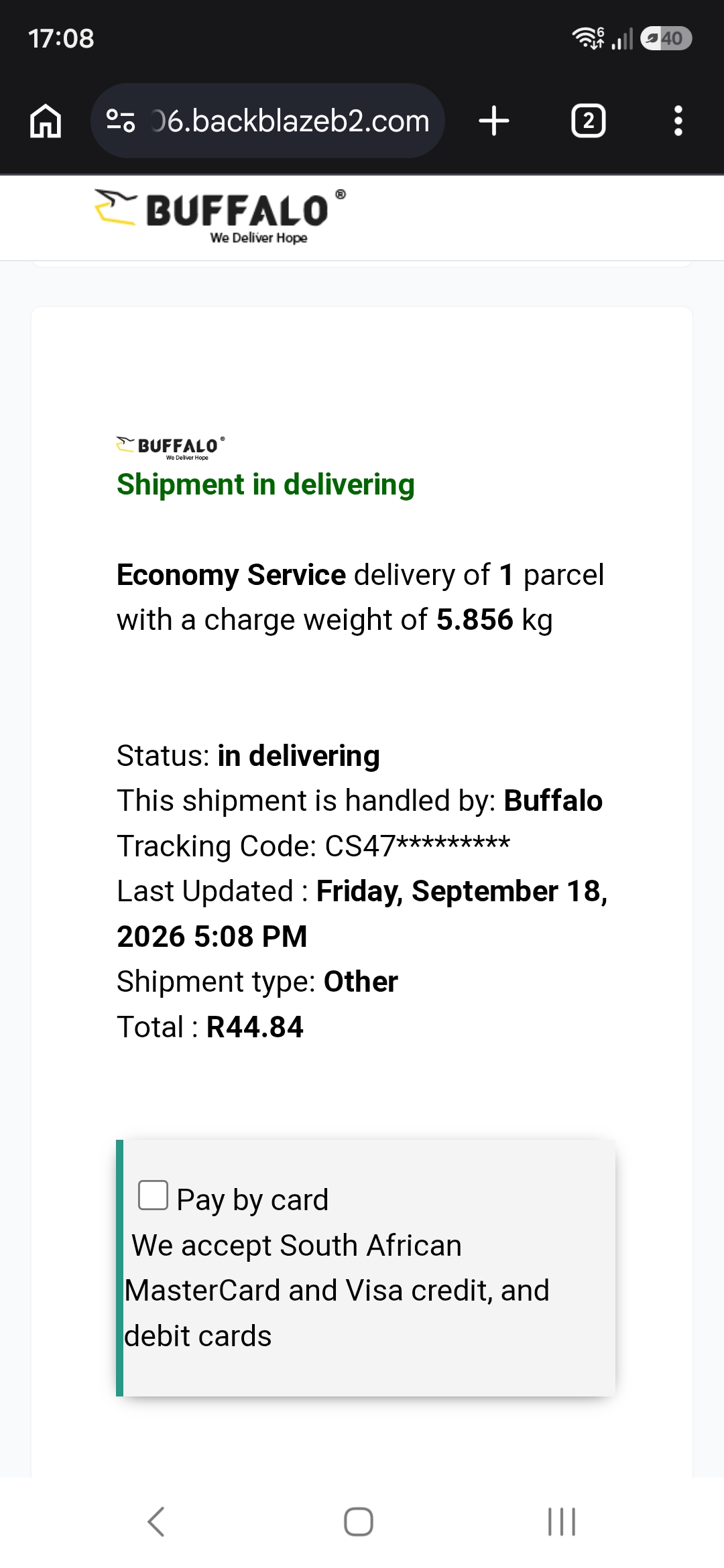 Fake Buffalo courier 