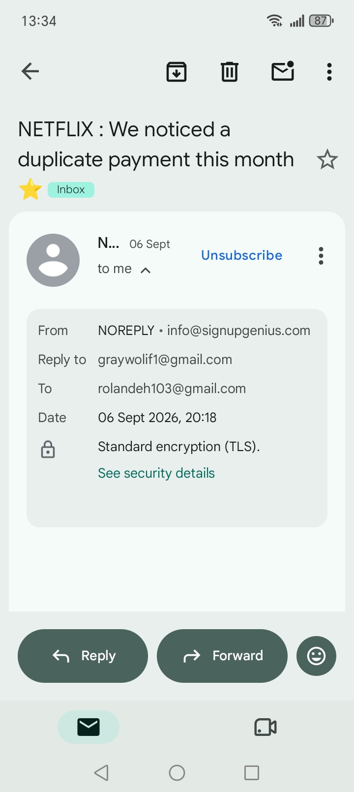 Netflix scammers 