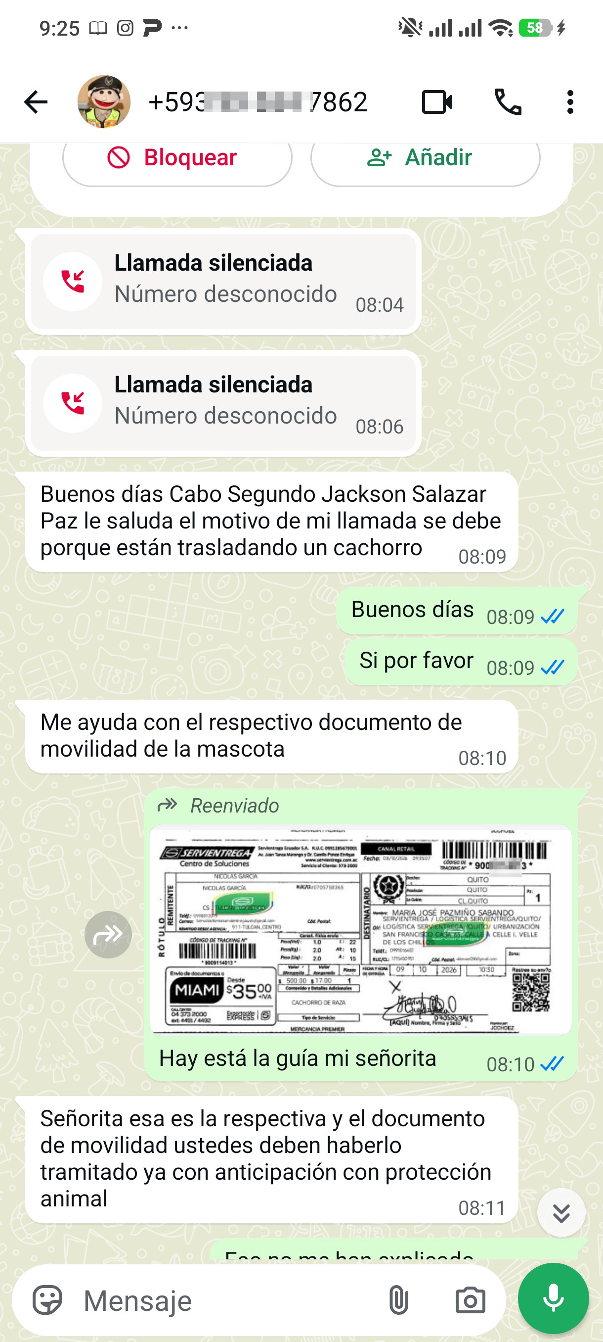 Pet adoption scam - image 2