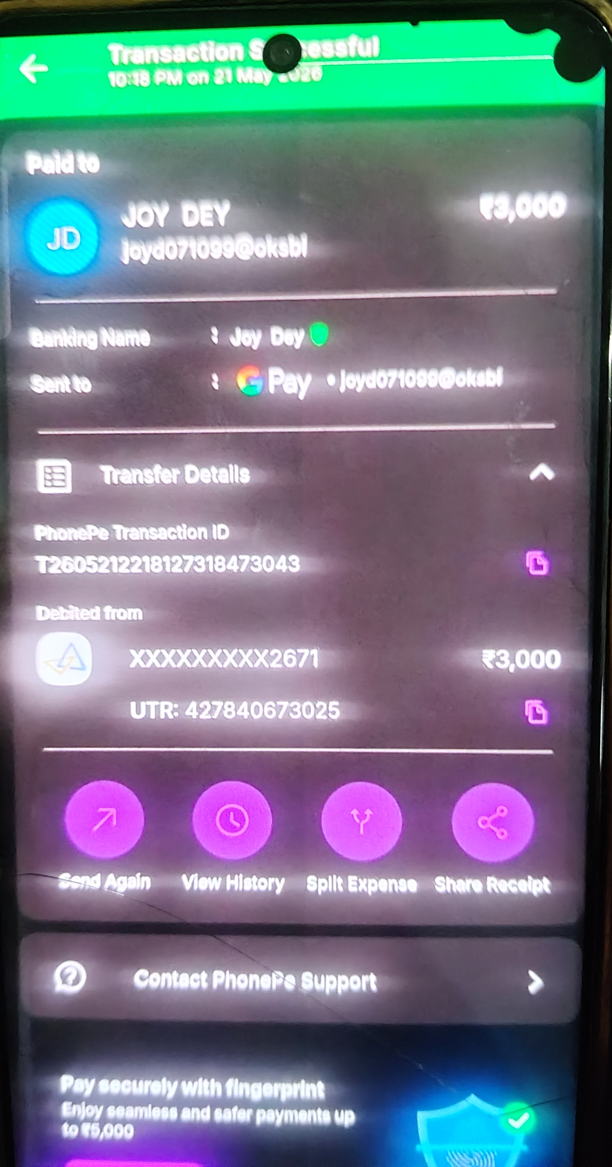 Scammer