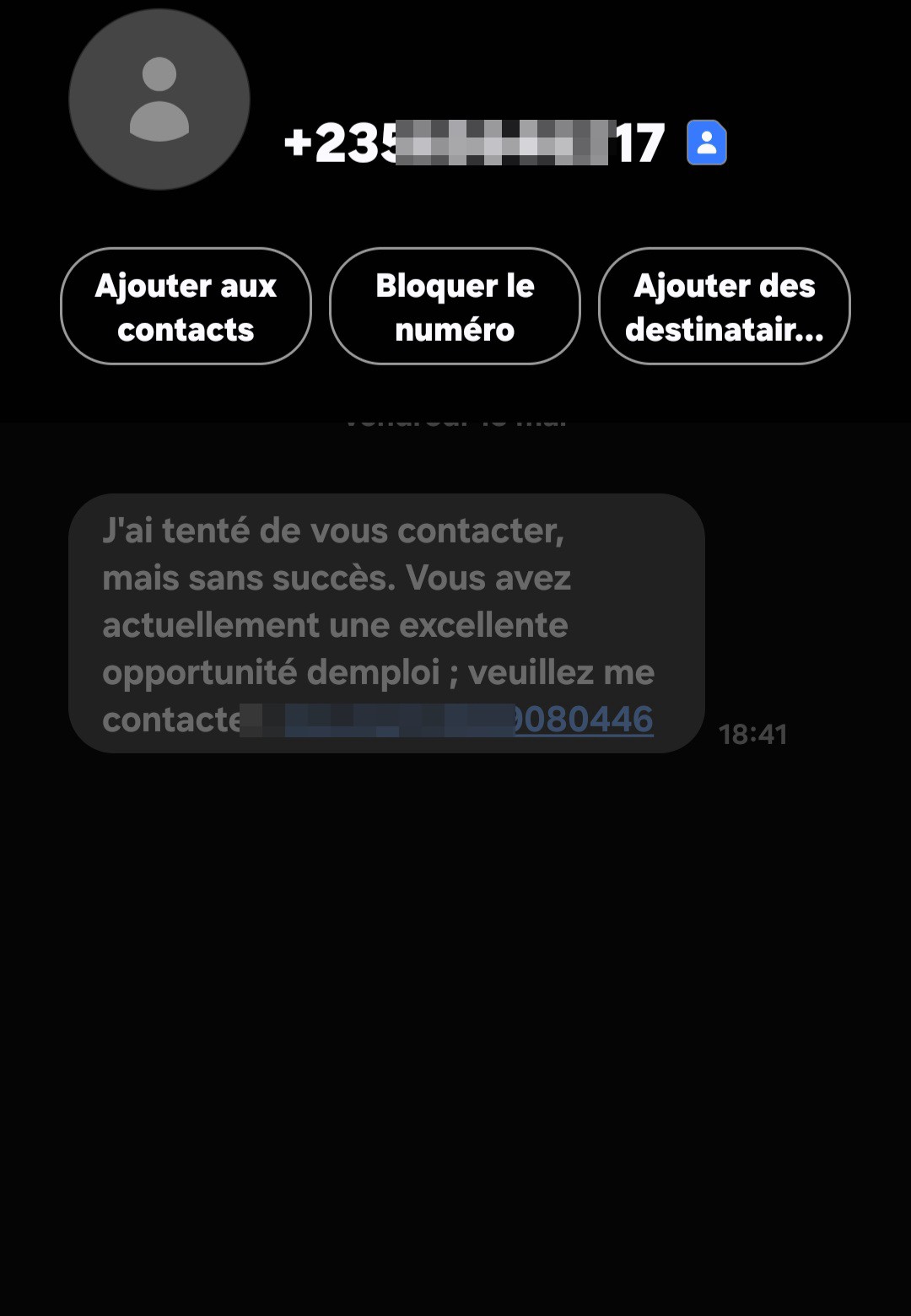 job scam - image 2