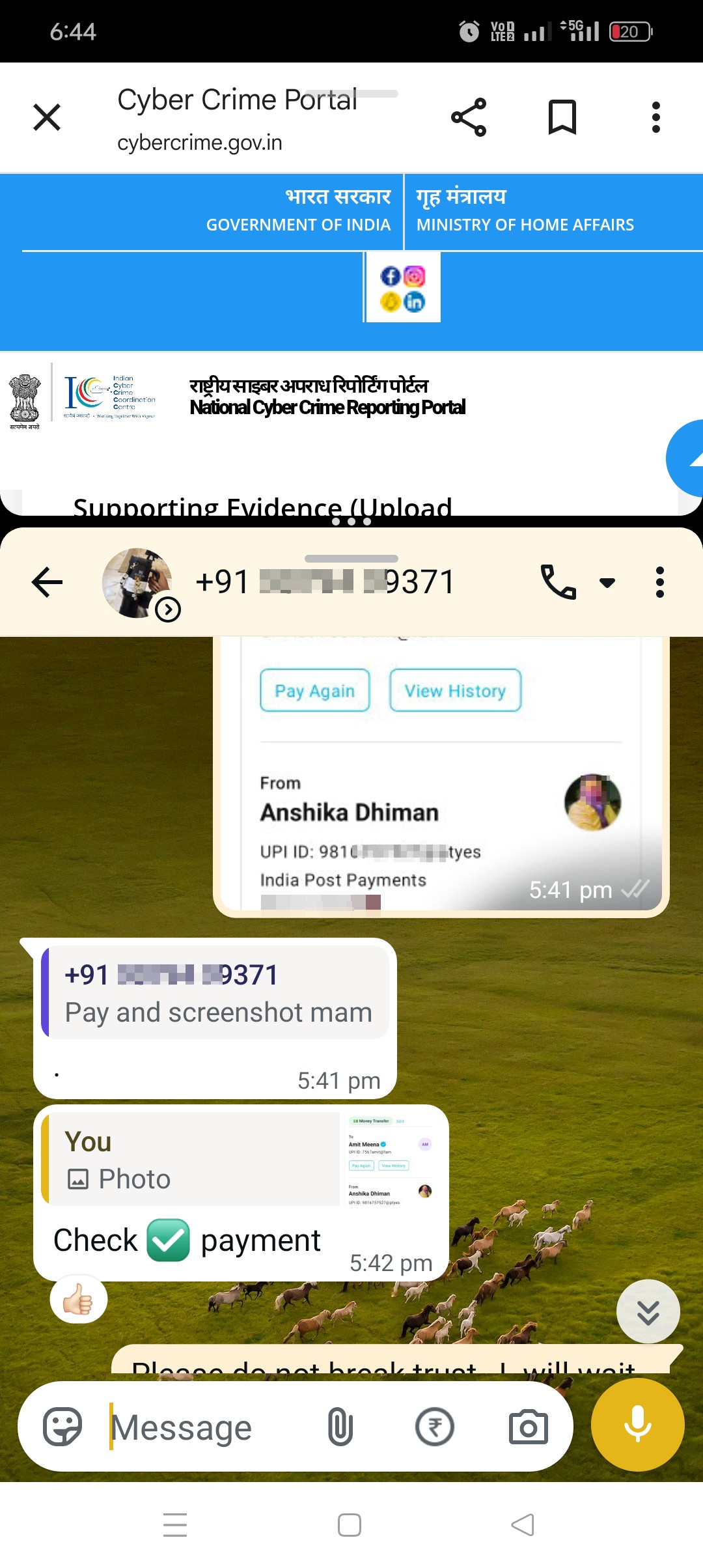 Instagram Tumbler Buy scam  - image 2