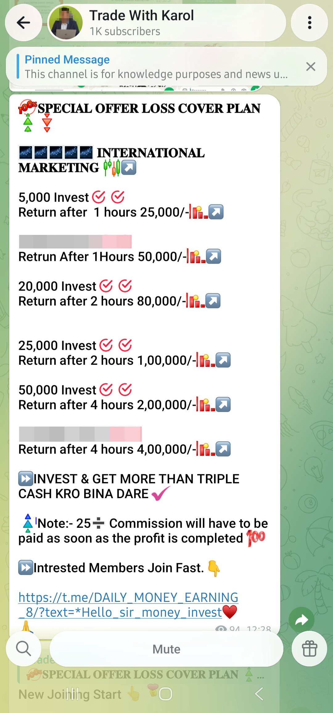 investment scam