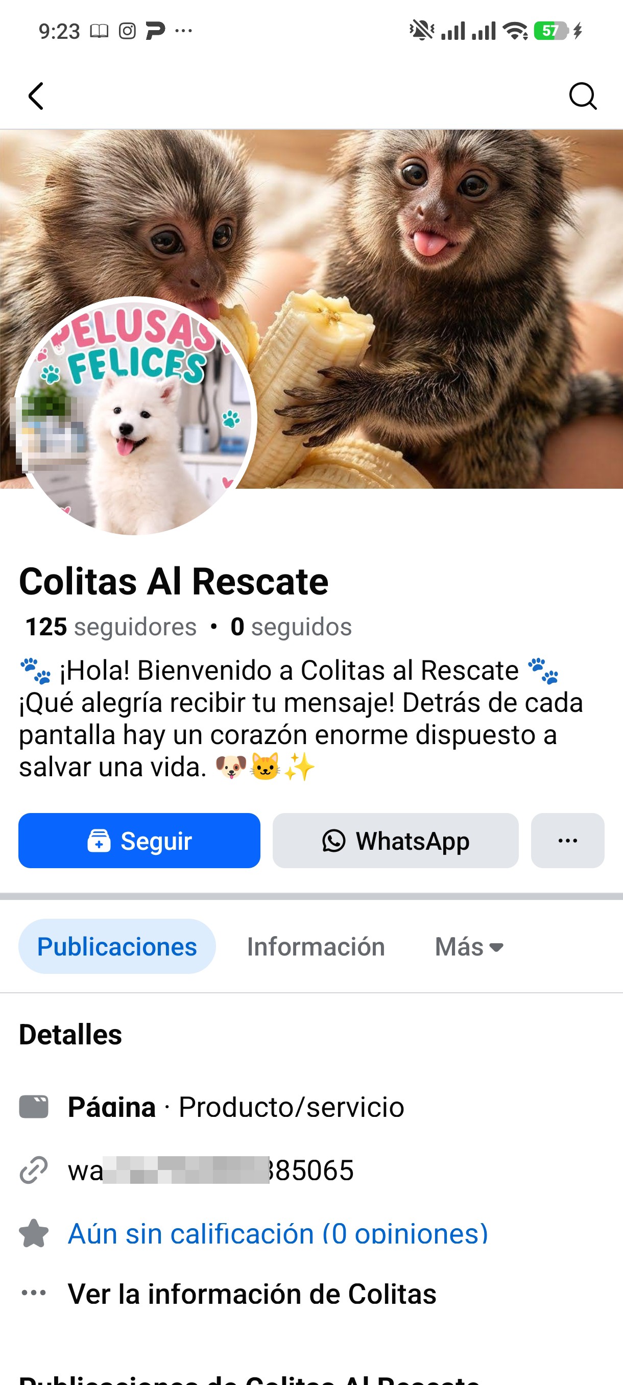 Pet adoption scam