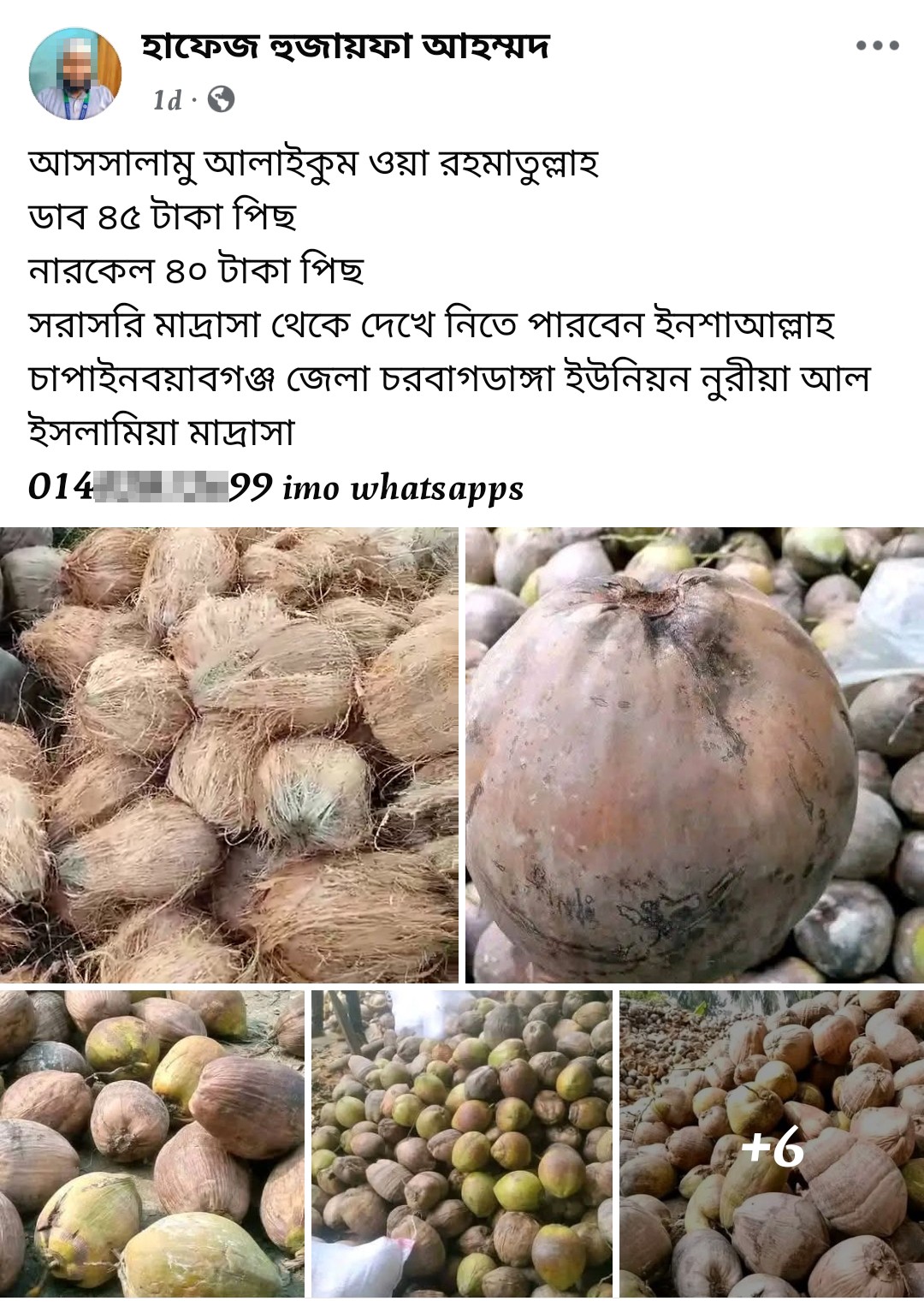 Coconut Scam