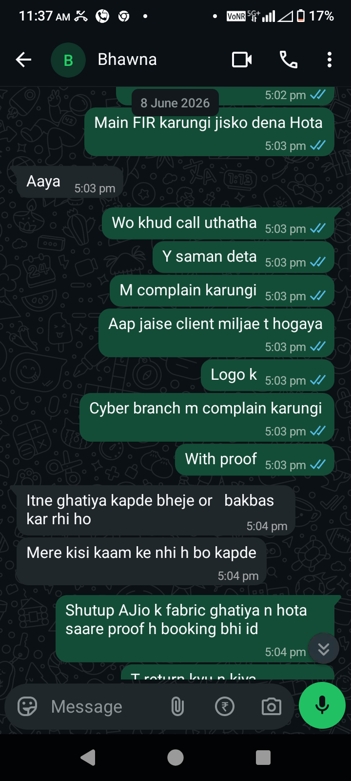 Fraud Lady - image 3