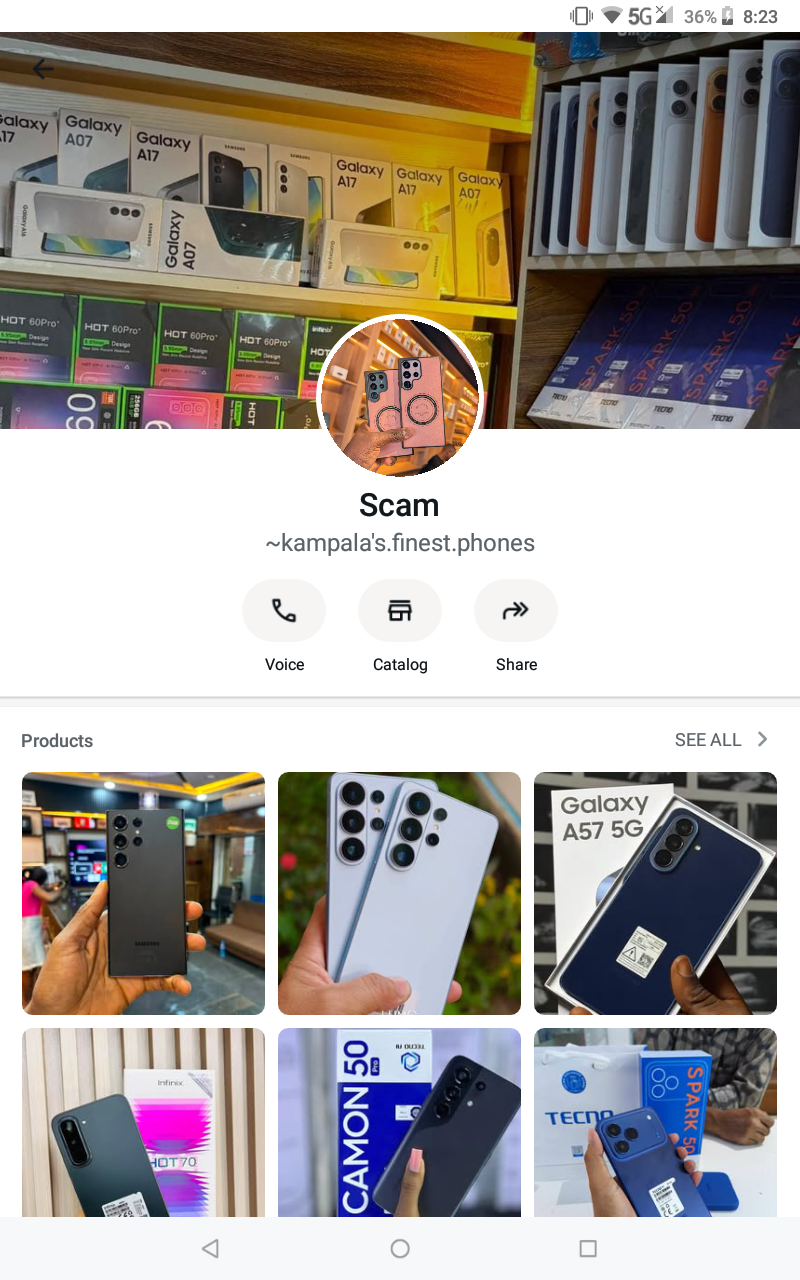 ONLINE scammers 