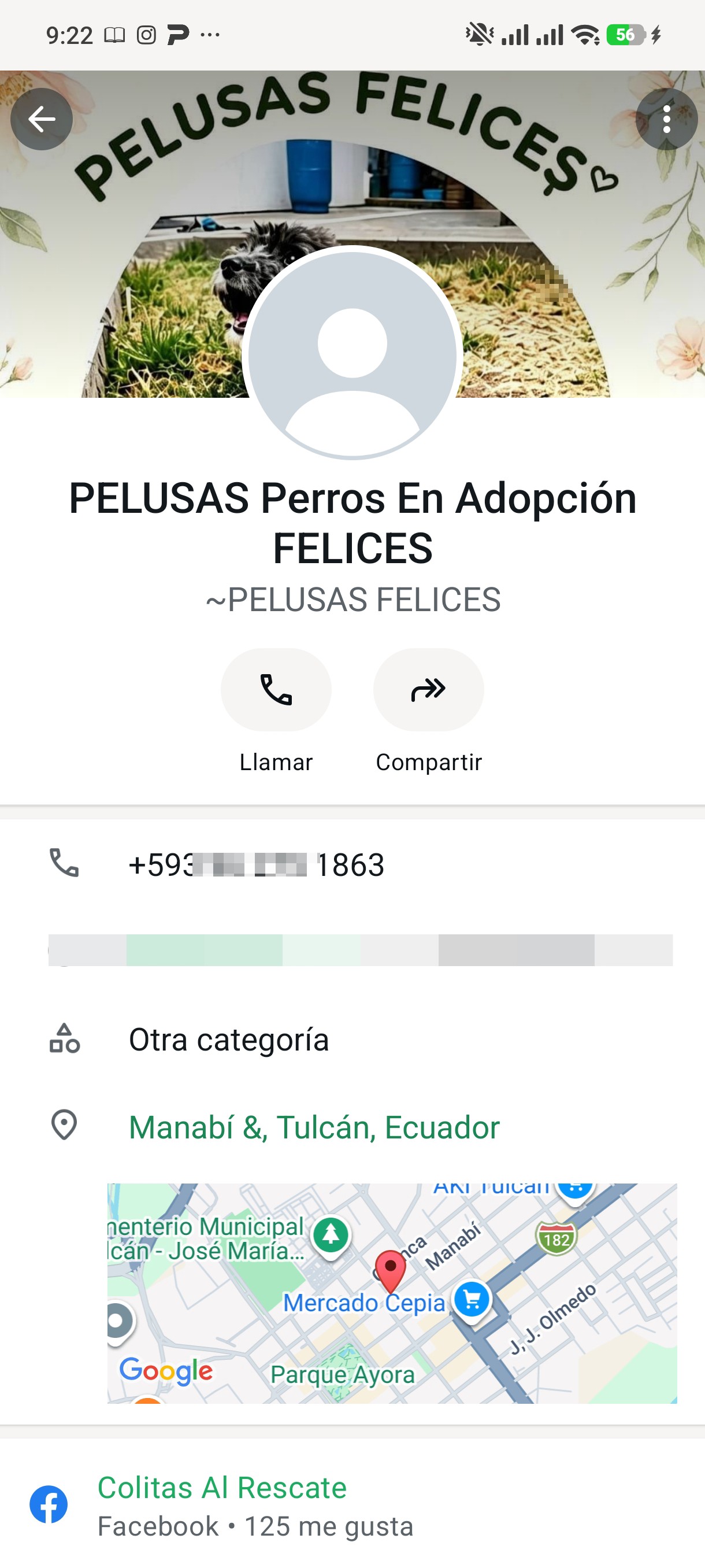 Pet adoption scam - image 3