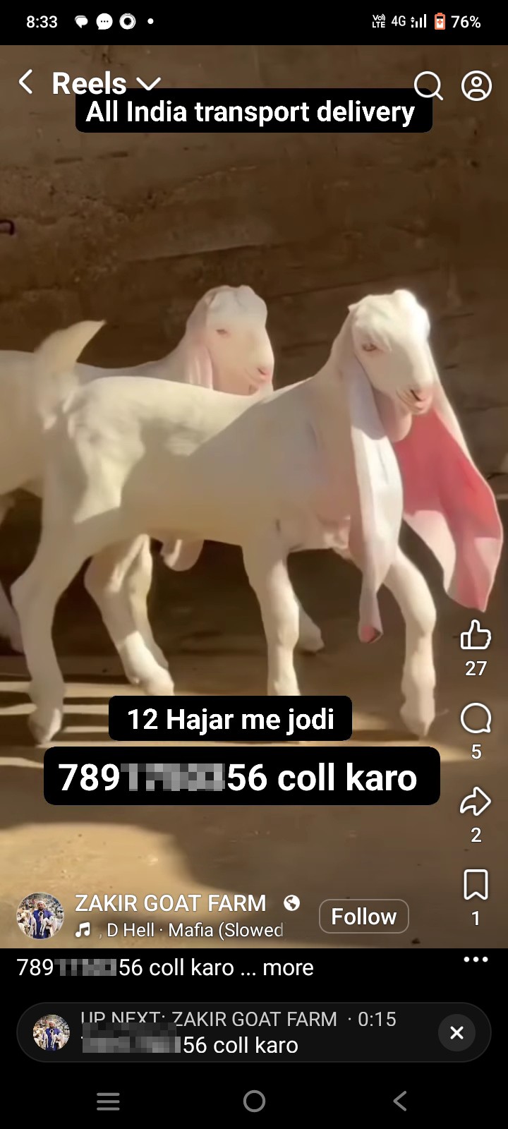 online goat purchase 