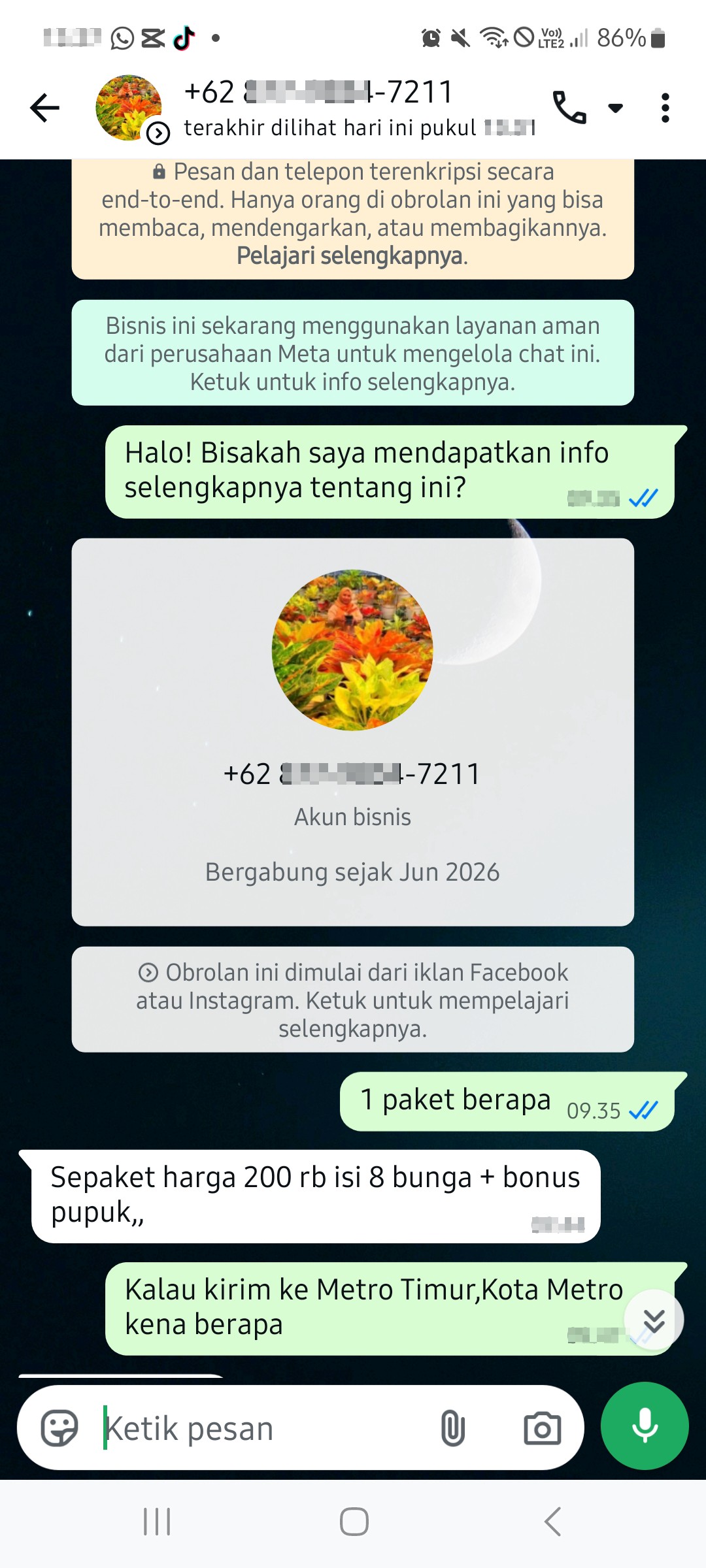 Beli algonema