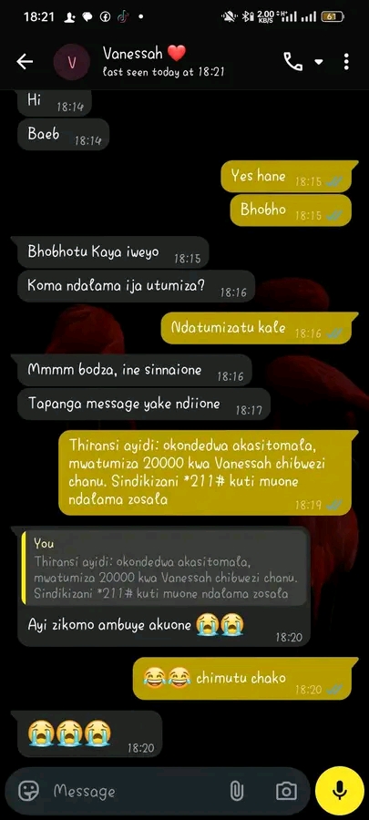 Scammer 
