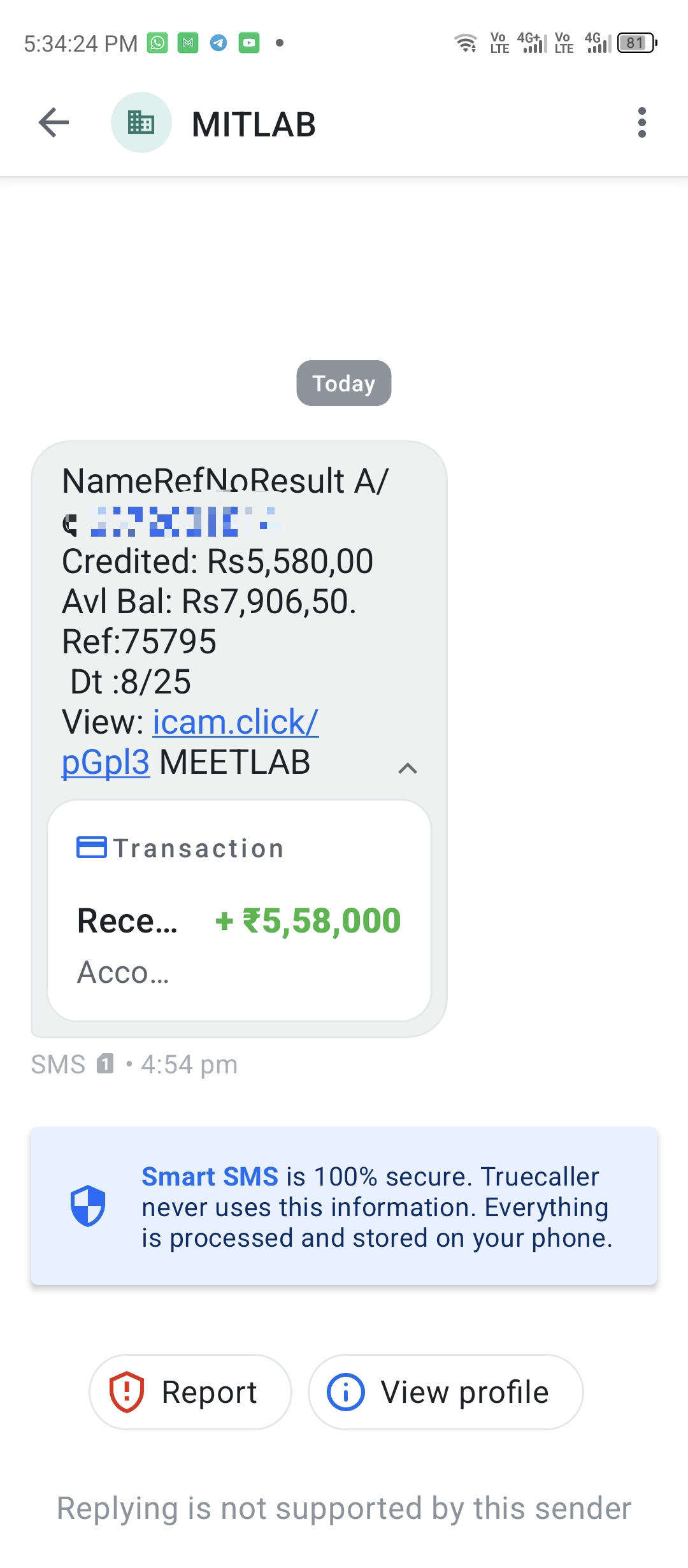 Fake Bank Credit SMS Scam