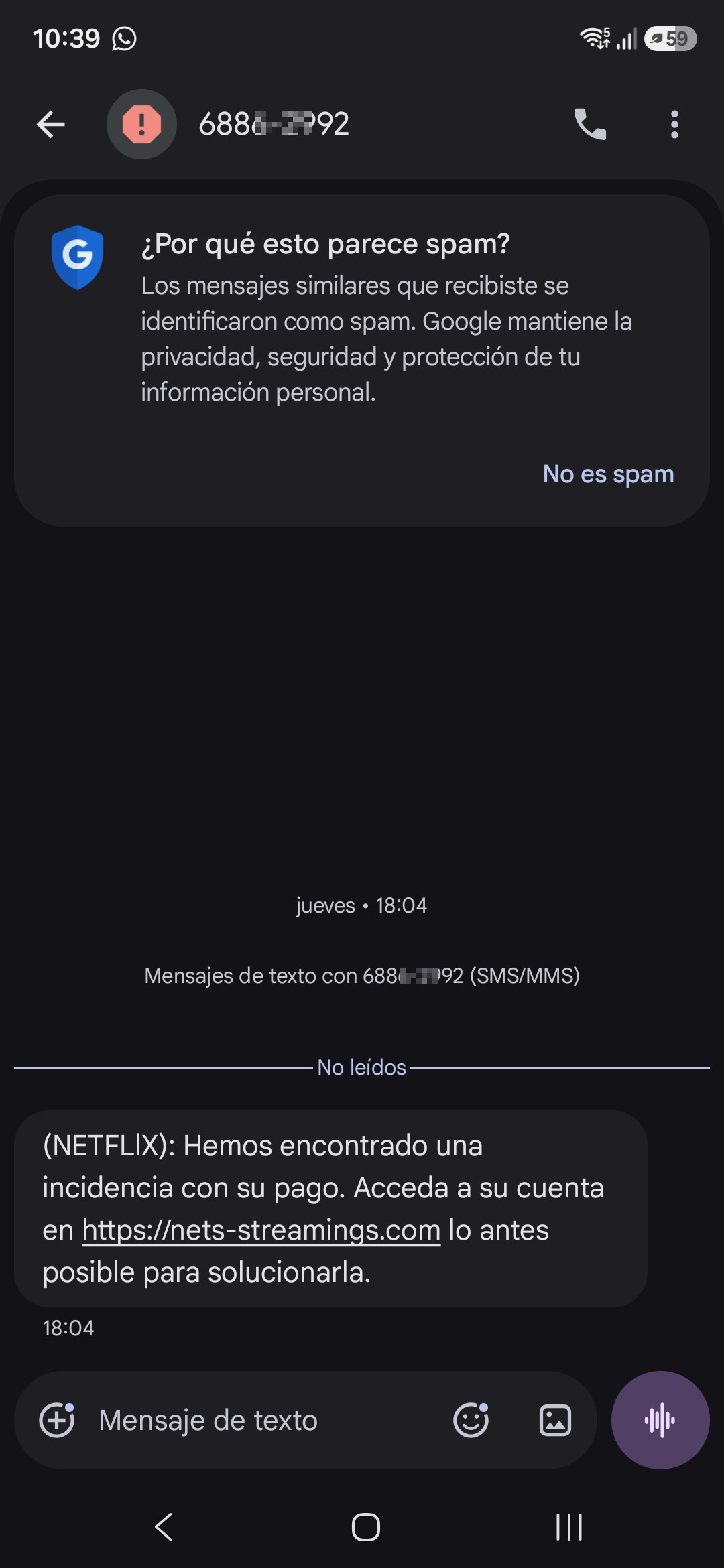 Netflix scam