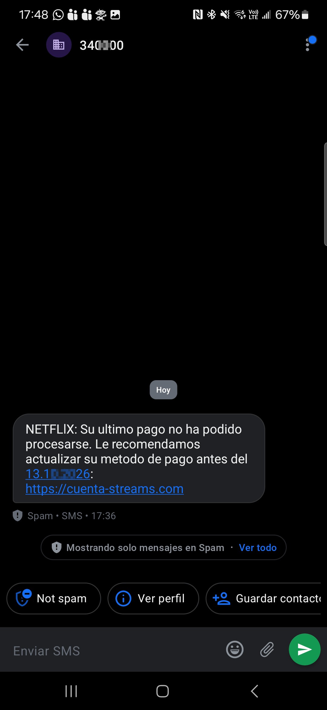 Netflix scam