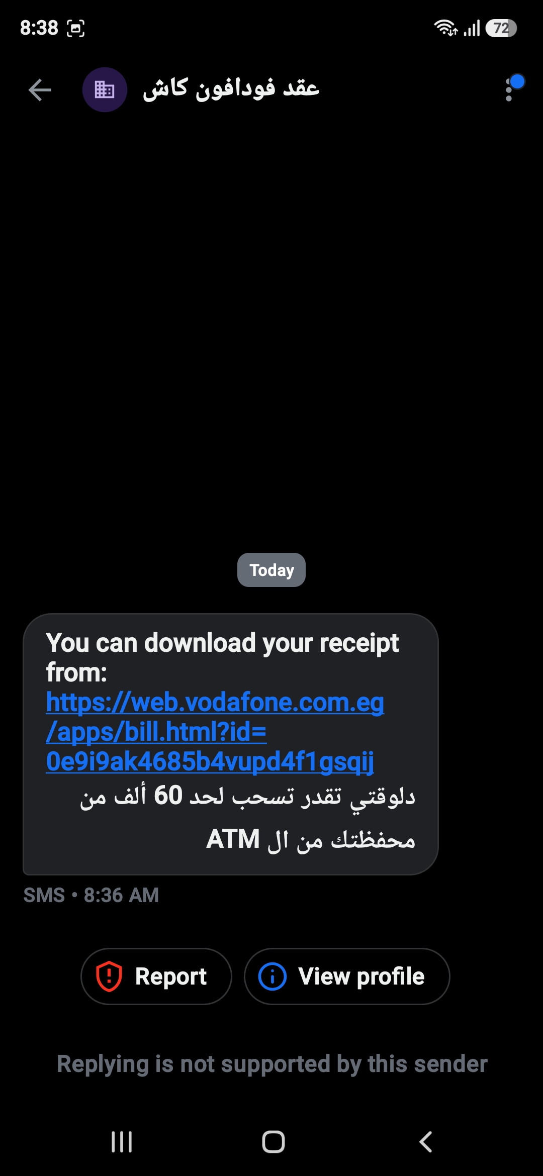 Vodafone number sends SMS link for wallet transfer scam - image 2