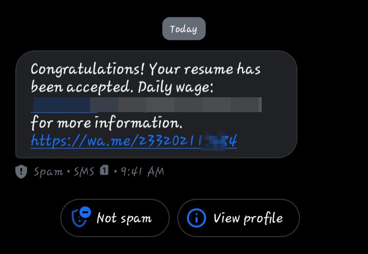 Scam through remotejobs