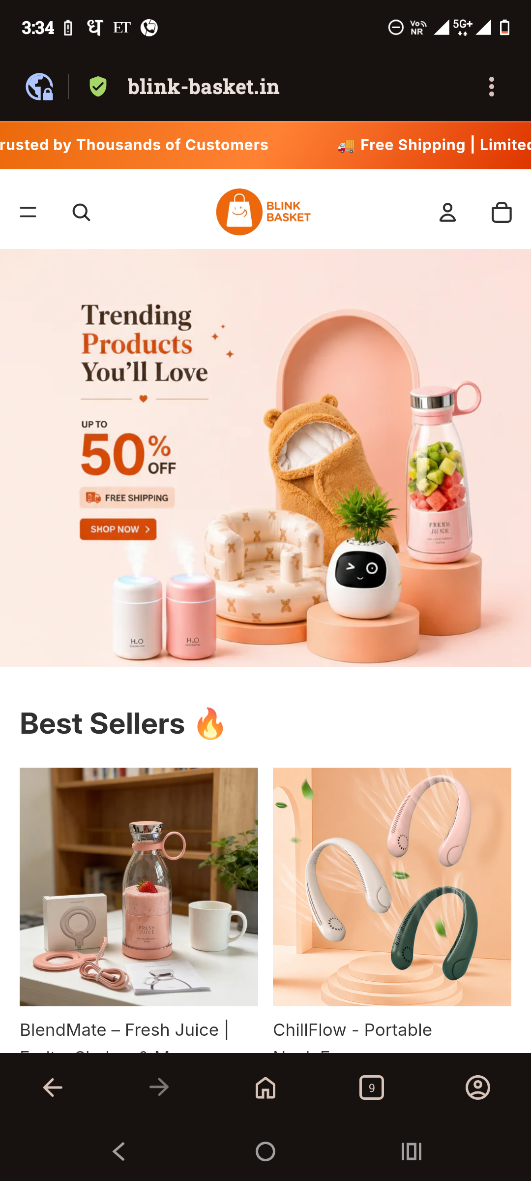 Fake website 
