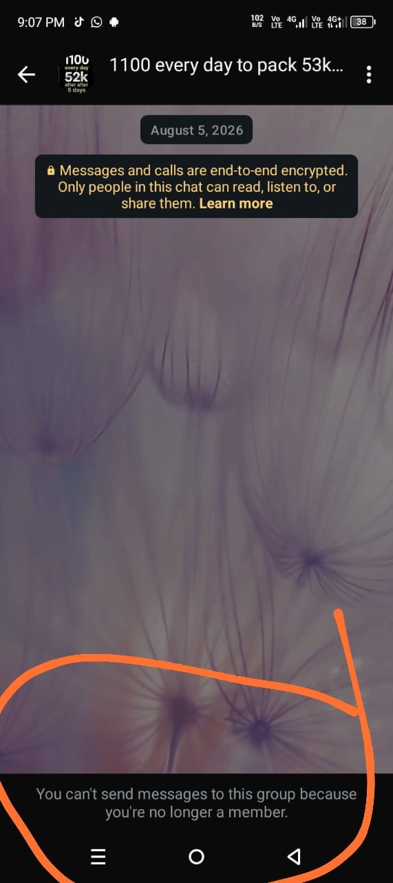 contribution  - image 3