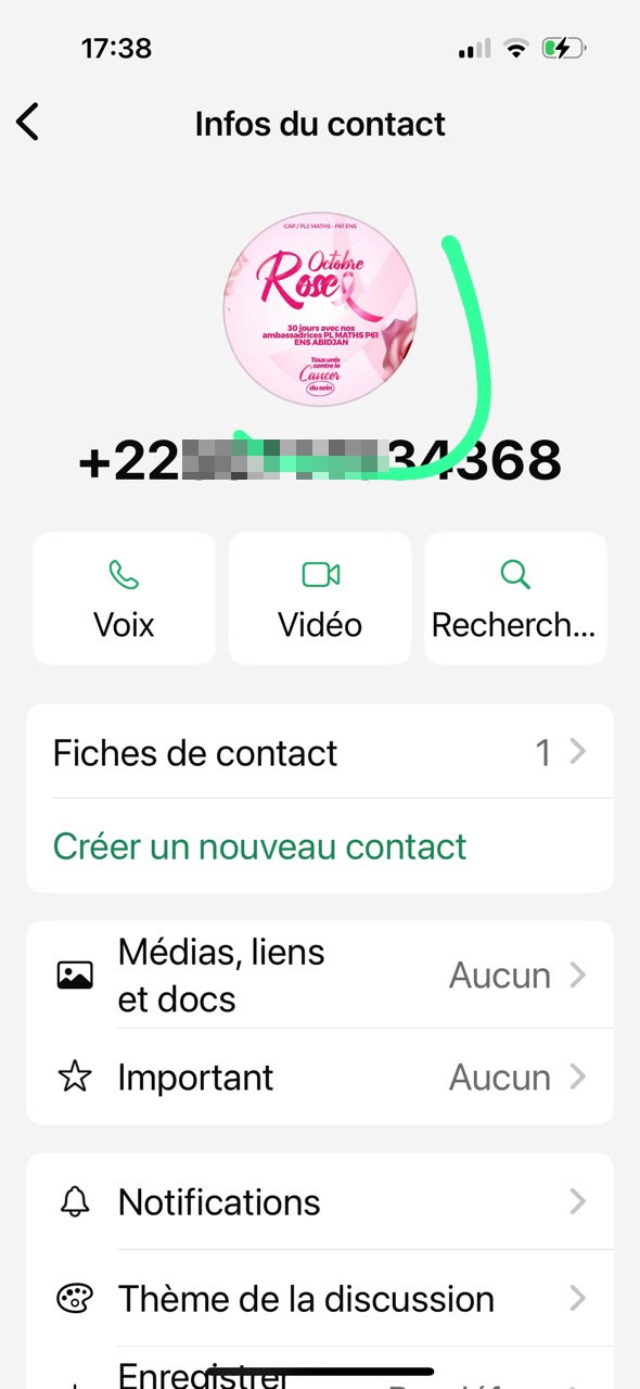 scam via WhatsApp - image 2