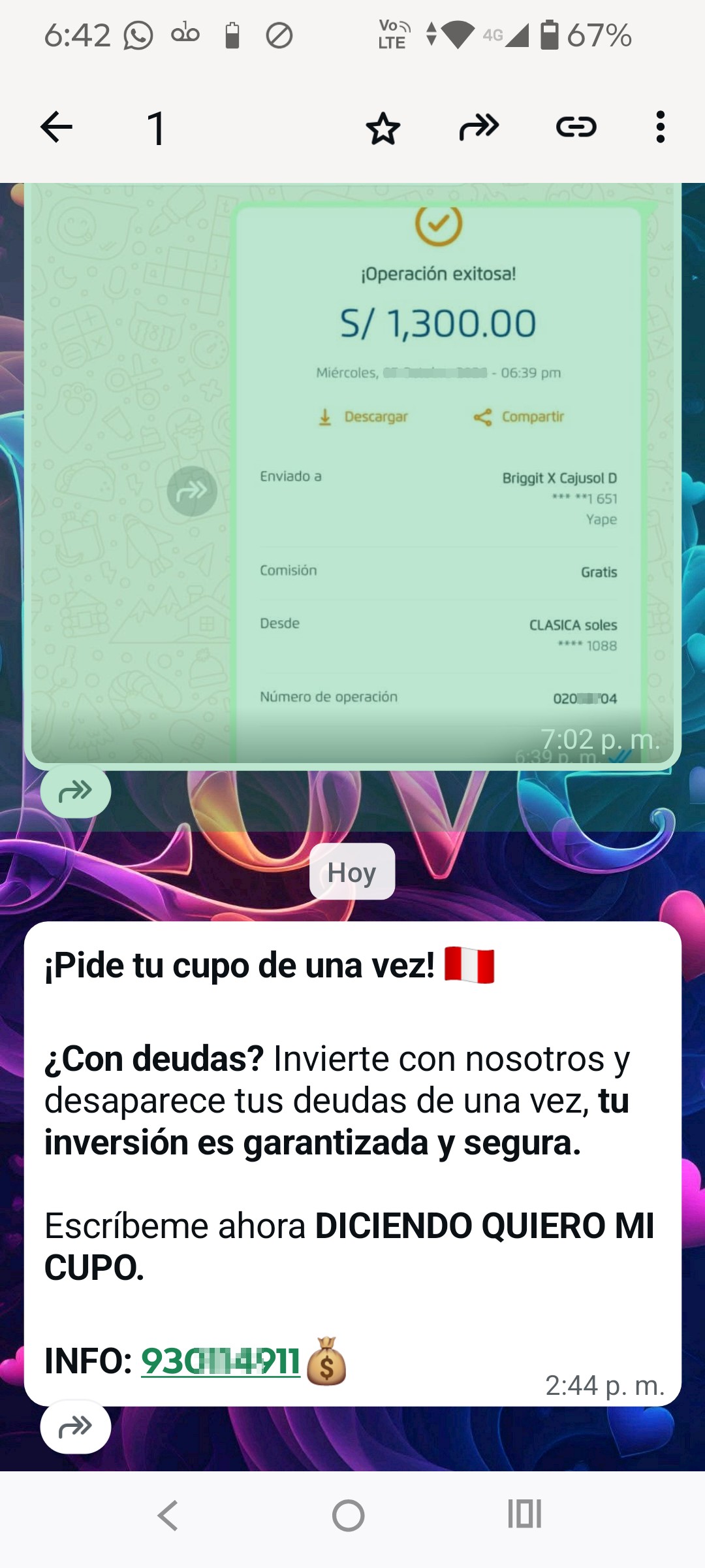 YAPEO investment scam on WhatsApp channel - image 2
