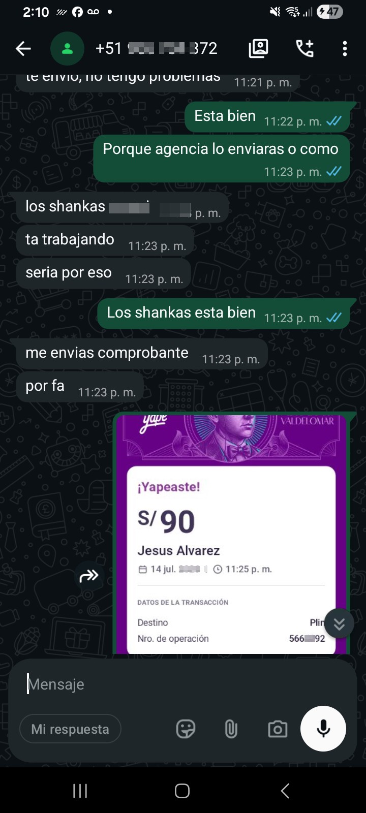 serial scammer - image 2