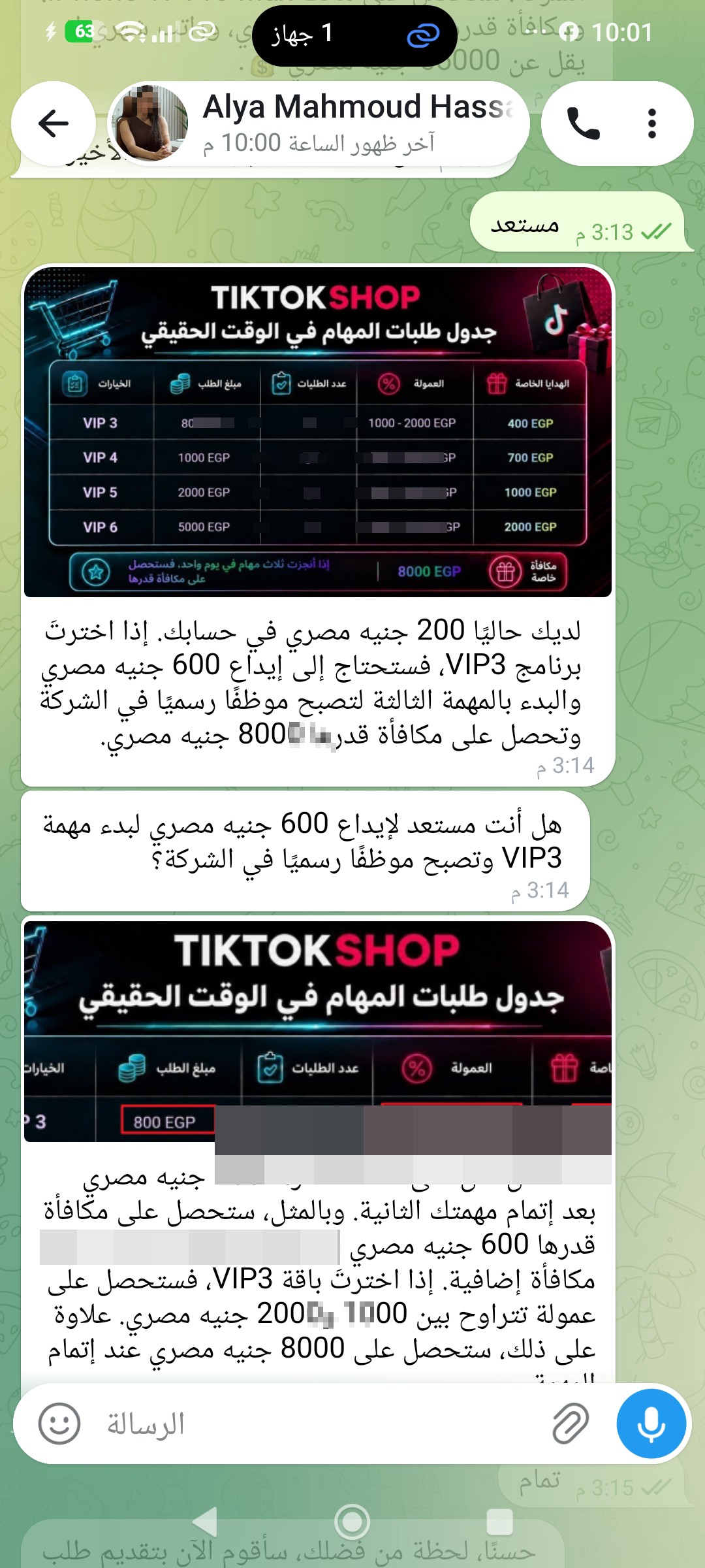 Internet scam case