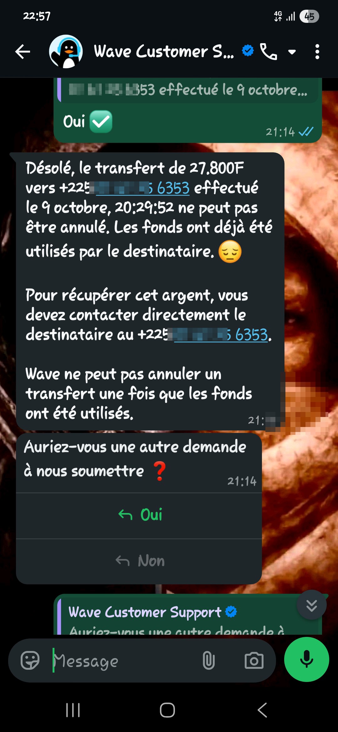 scam 