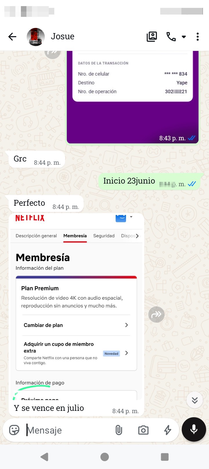 Netflix scammer