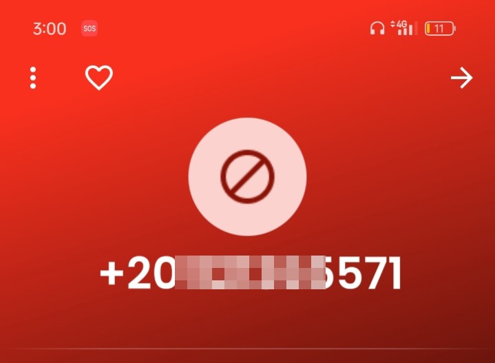 Scammer. Mentally ill person.