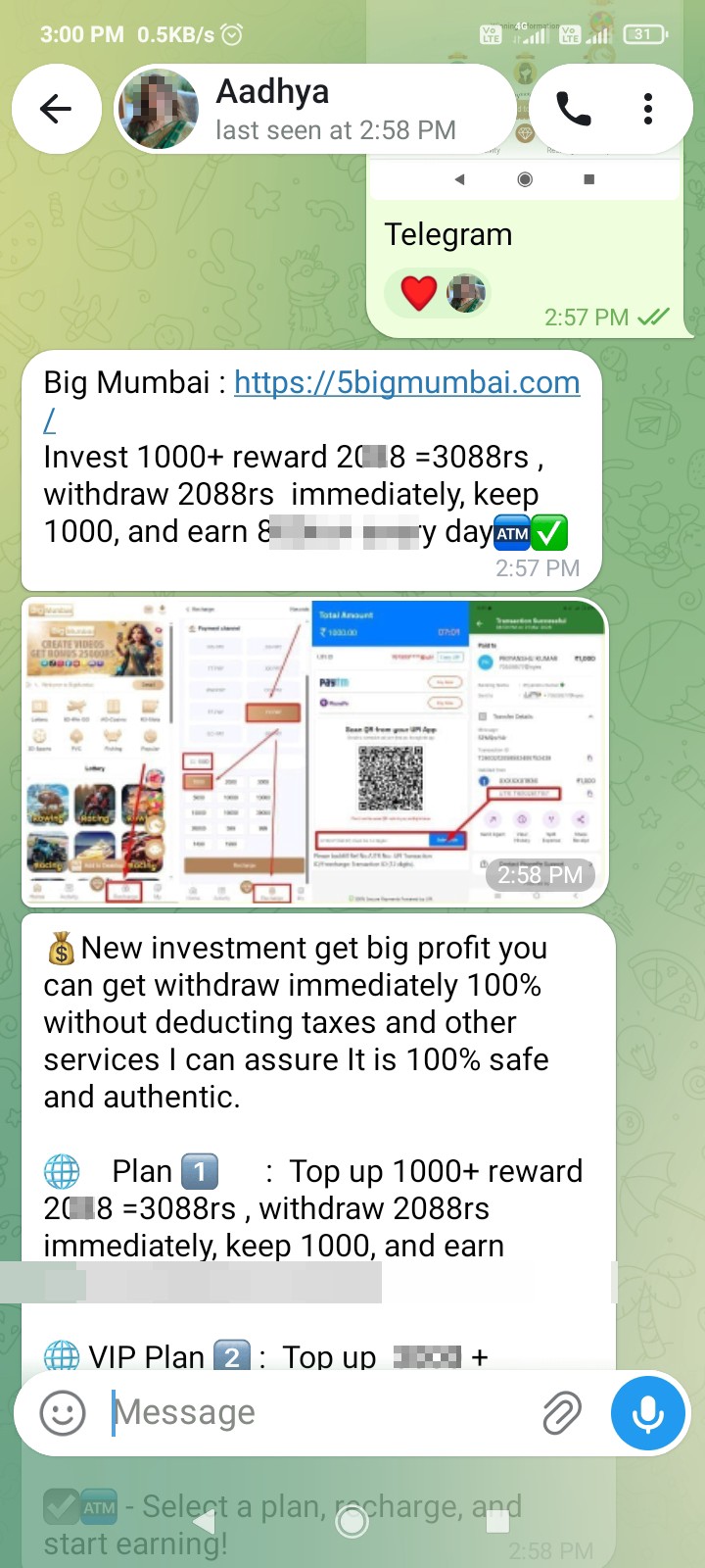 big mumba financial fraud  - image 3