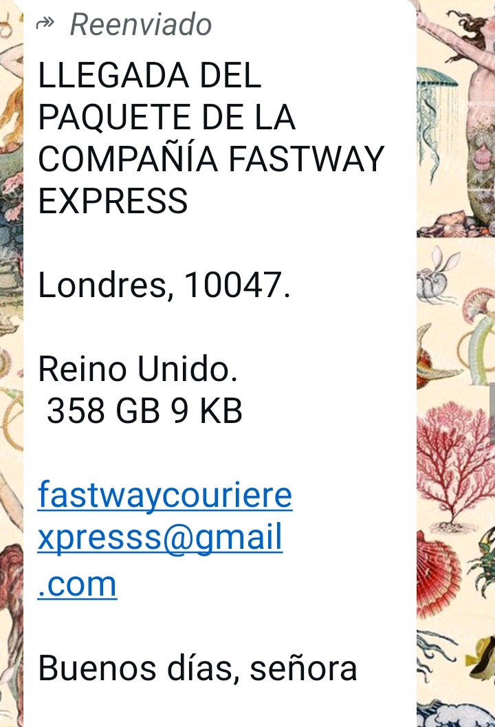 Scam on WhatsApp involving charges for supposed customs fees - image 2
