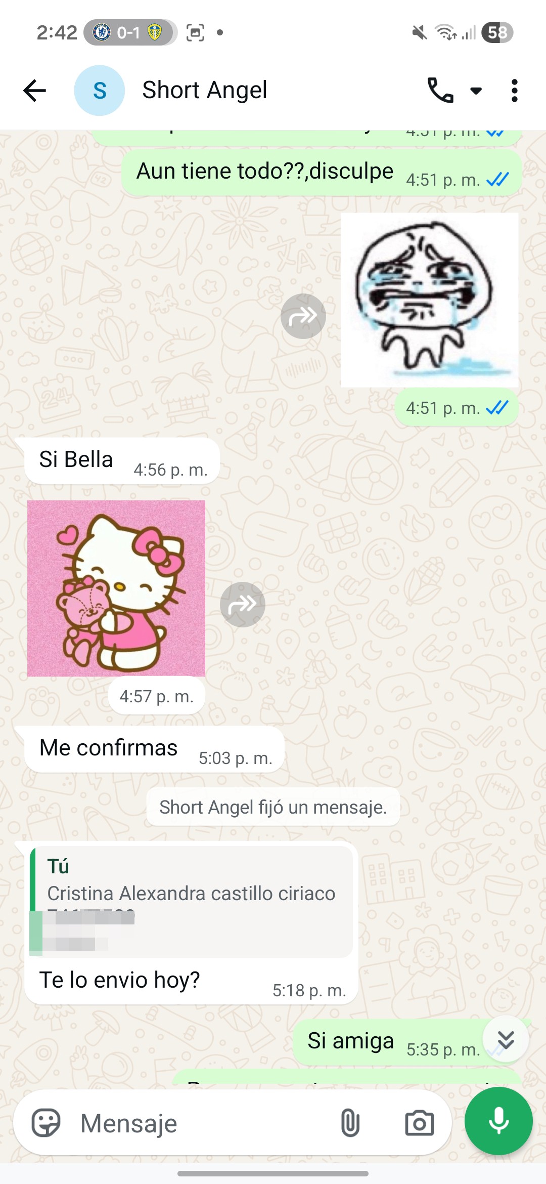 scammer - image 3