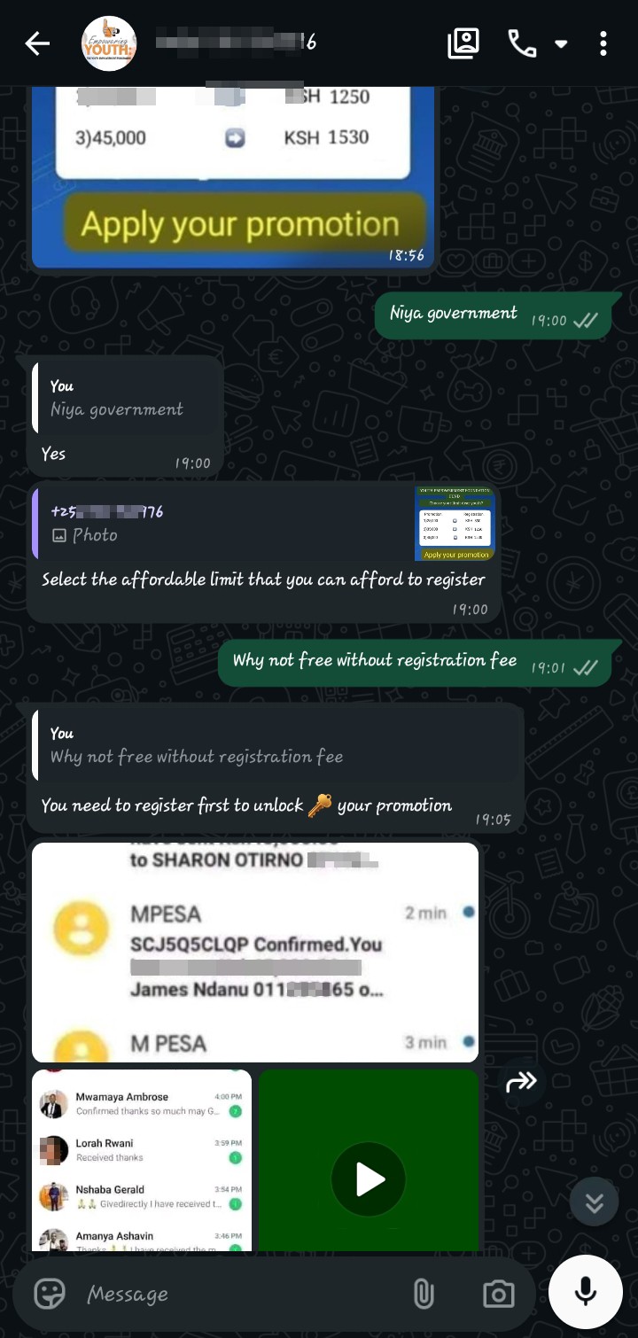 scammer in name of youth empowerment  - image 2