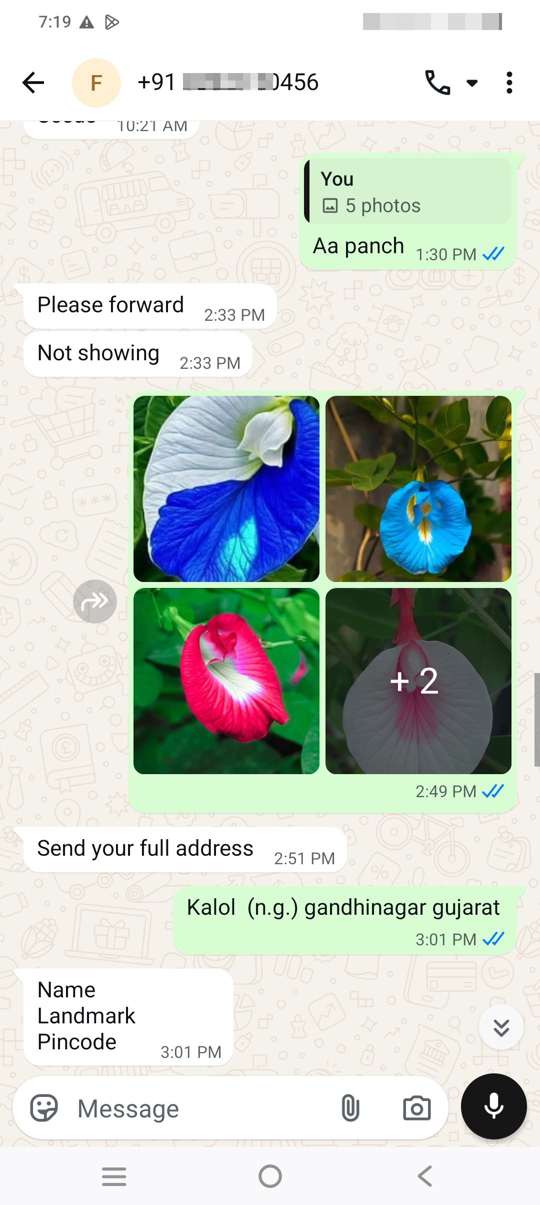 flora hevan nursary....[PHONE] - image 6