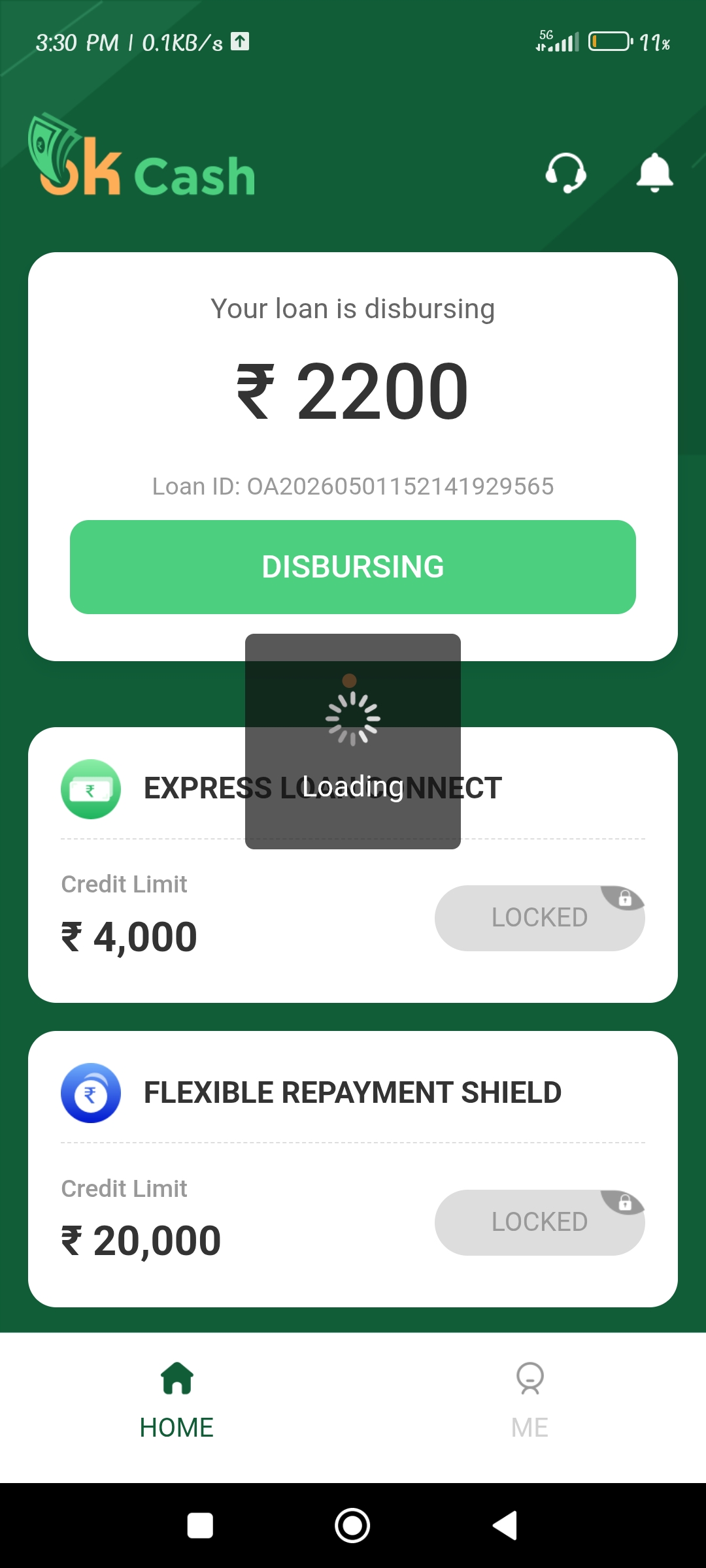 loan frod 