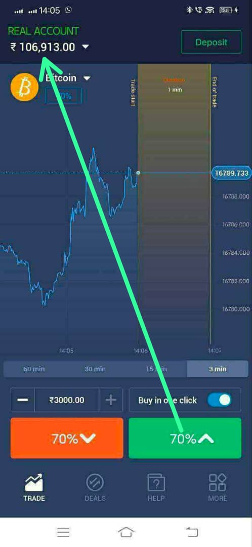 bitcoin frauds - image 10