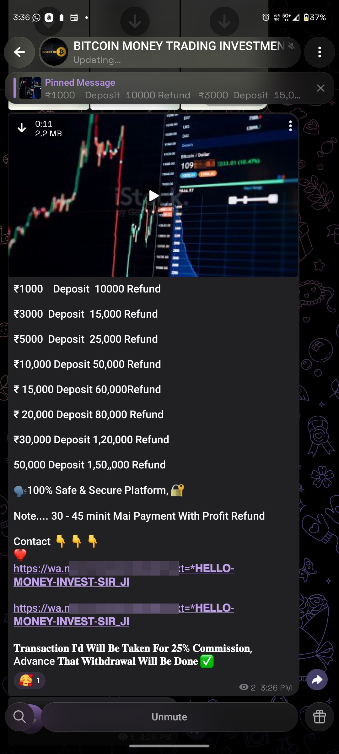 scammer on telegram  - image 2