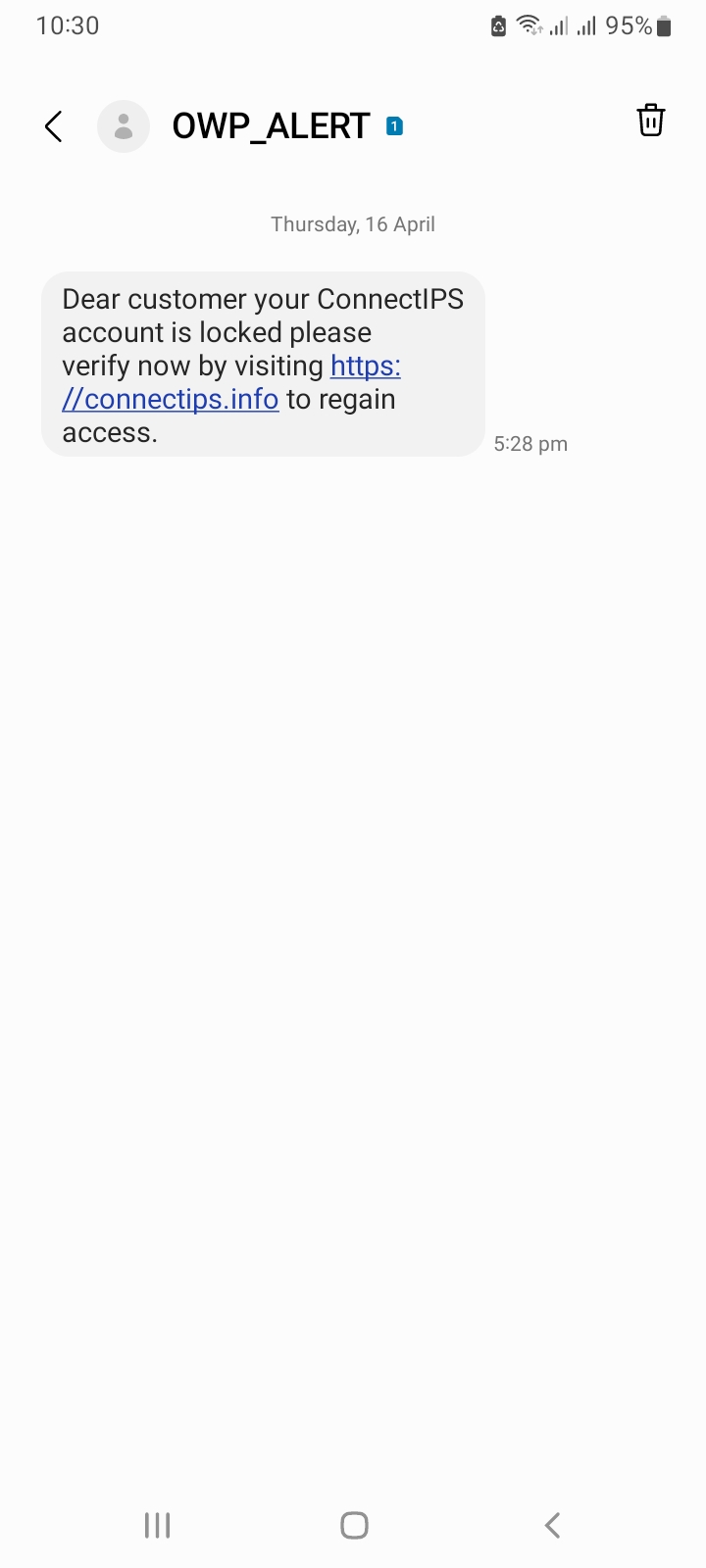 scam message like this
